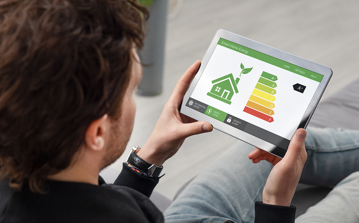 Venta y alquiler de vivienda