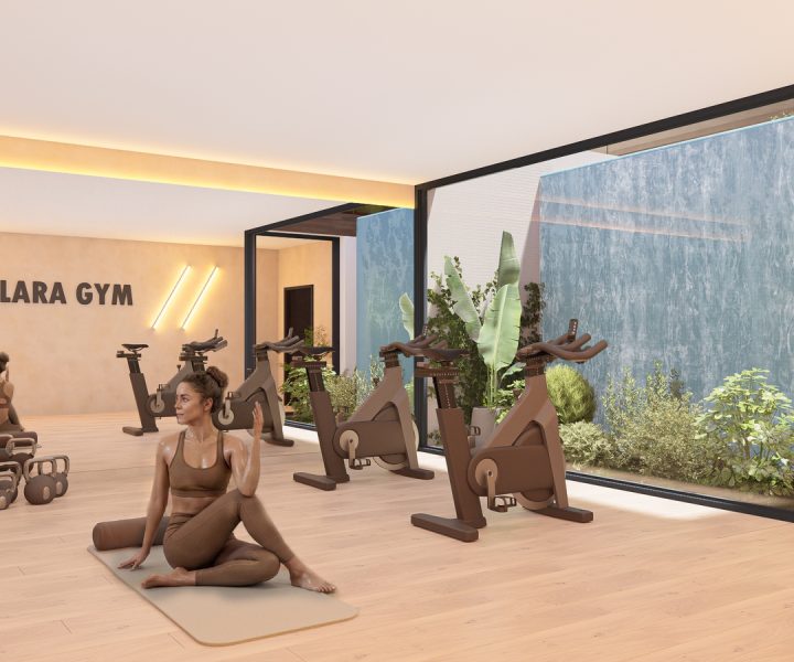 Infografía GYM 01 P-16-web